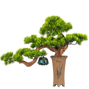 Kinų Stiliaus Dirbtinio Sveikinimo Pušies Bonsai Augalų Podocarpus Macrophyllus Papuošalai Žaliųjų Augalų Buveinės Prieškambario Kambarį