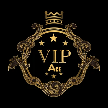 VIP Custom （Dėmesį, Kad Jums Reikia Susisiekti su Klientų aptarnavimo Tarnyba Pirmą）